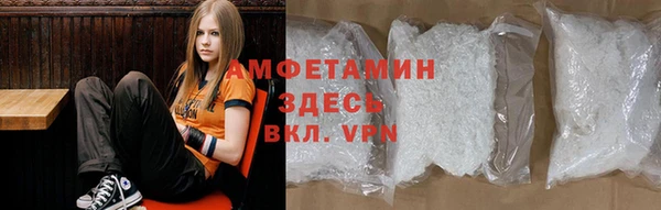 мет Алексин