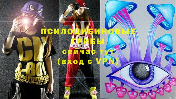 каннабис Алексеевка