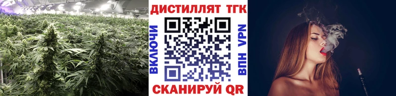 мега ссылки  Могоча  Дистиллят ТГК гашишное масло 
